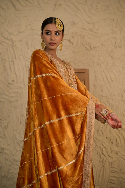 Mustard Velvet Suit with Exquisite Embroidery – Noor Edit